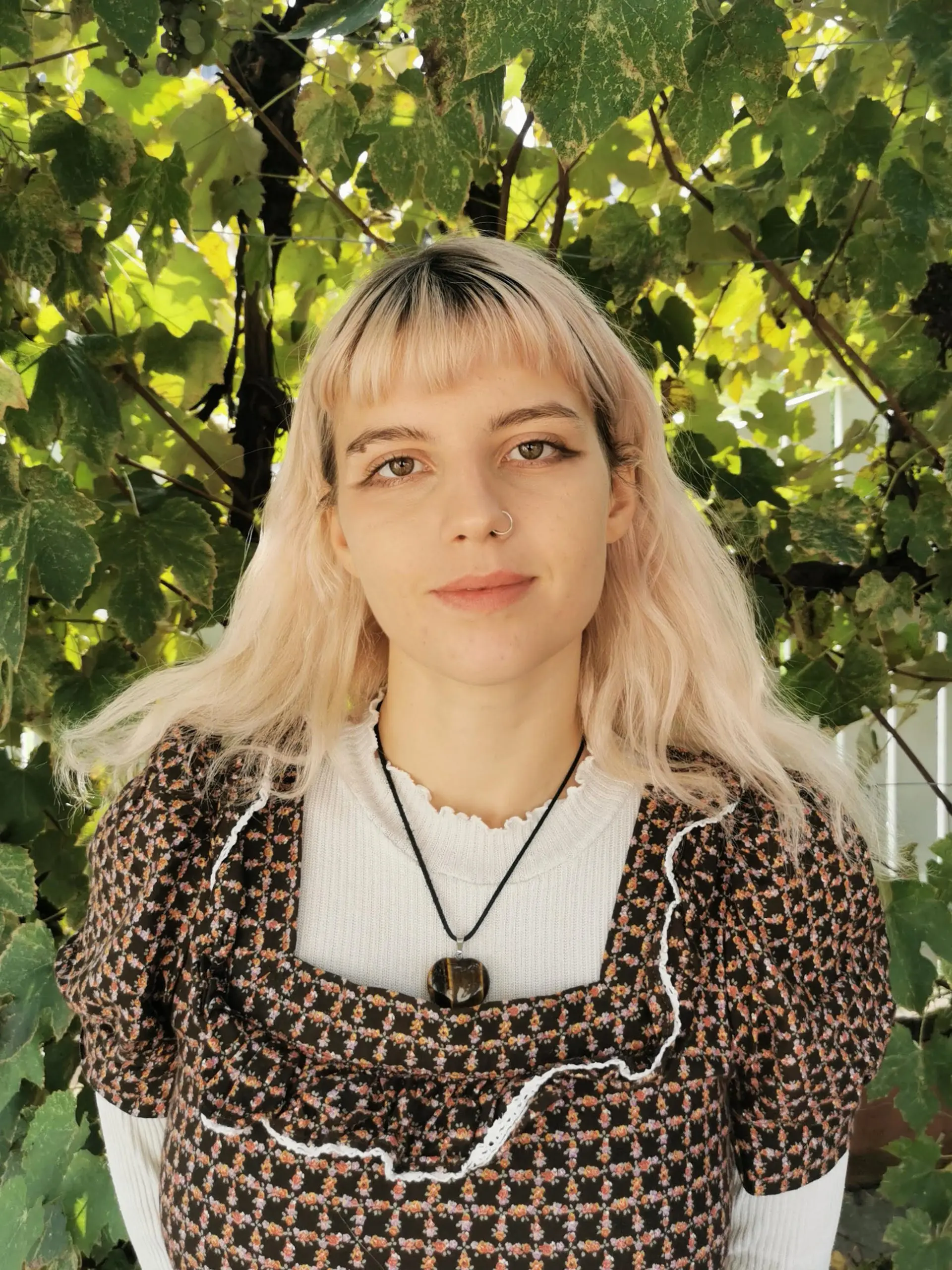 Nikiša Plešec
